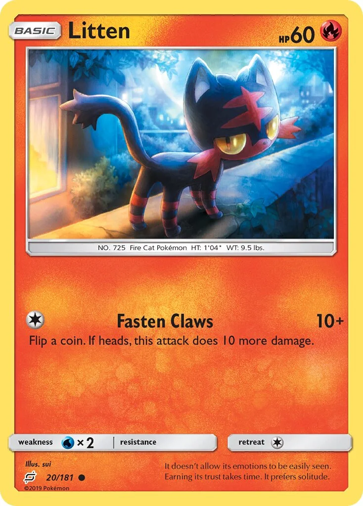 Litten 「TEU 20/181」「EN」