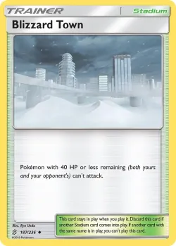 Blizzard Town #187/236 · Pokémon