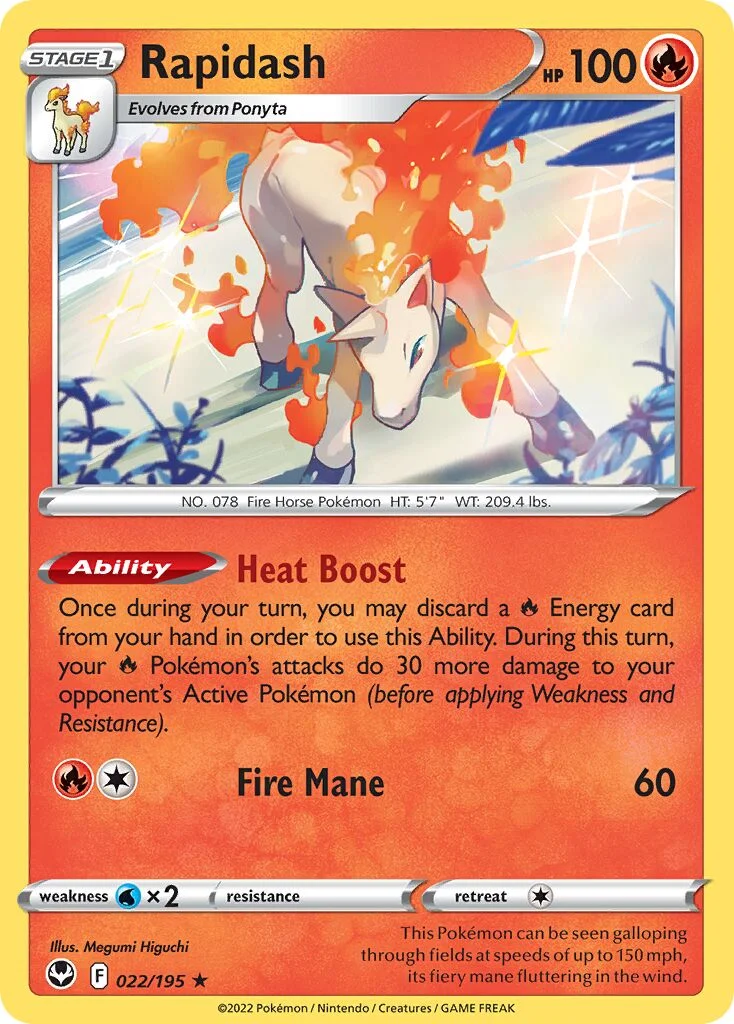 Rapidash 「SIT 022/195」「EN」