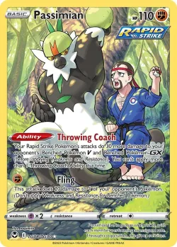 Passimian 「SIT TG08/TG30」「EN」