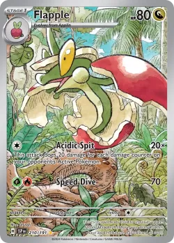 Flapple 「SSP 210/191」「EN」