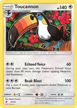 Toucannon 「TK10L 22/30」「EN」