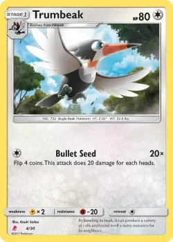Trumbeak 「TK10L 4/30」「EN」
