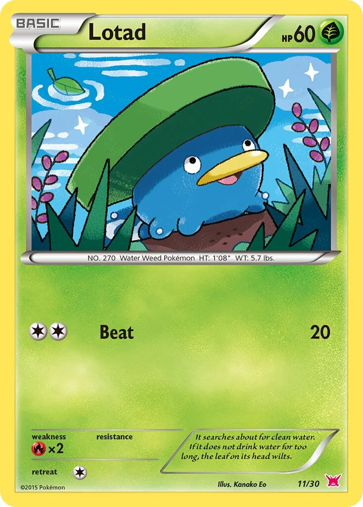 Lotad 「TK8A 11/30」「EN」