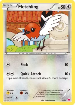 Fletchling 「TK8A 4/30」「EN」