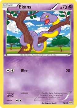 Ekans 「TK6N 16/30」「EN」