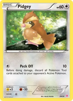 Pidgey 「TK7W 29/30」「EN」