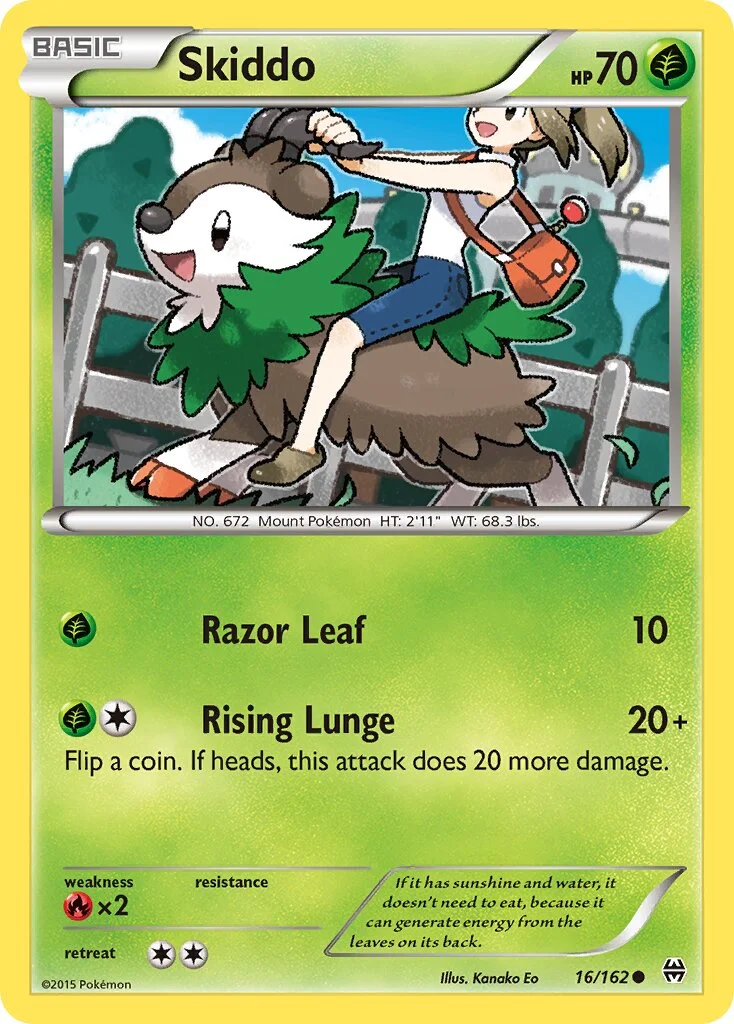 Skiddo 「BKT 16/162」「EN」