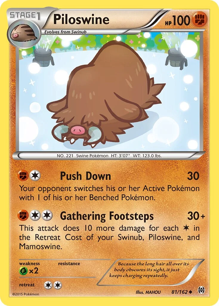 Piloswine 「BKT 81/162」「EN」