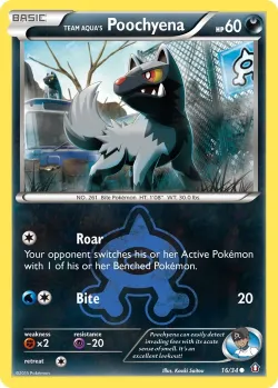 Team Aqua's Poochyena 「DCR 16/34」「EN」