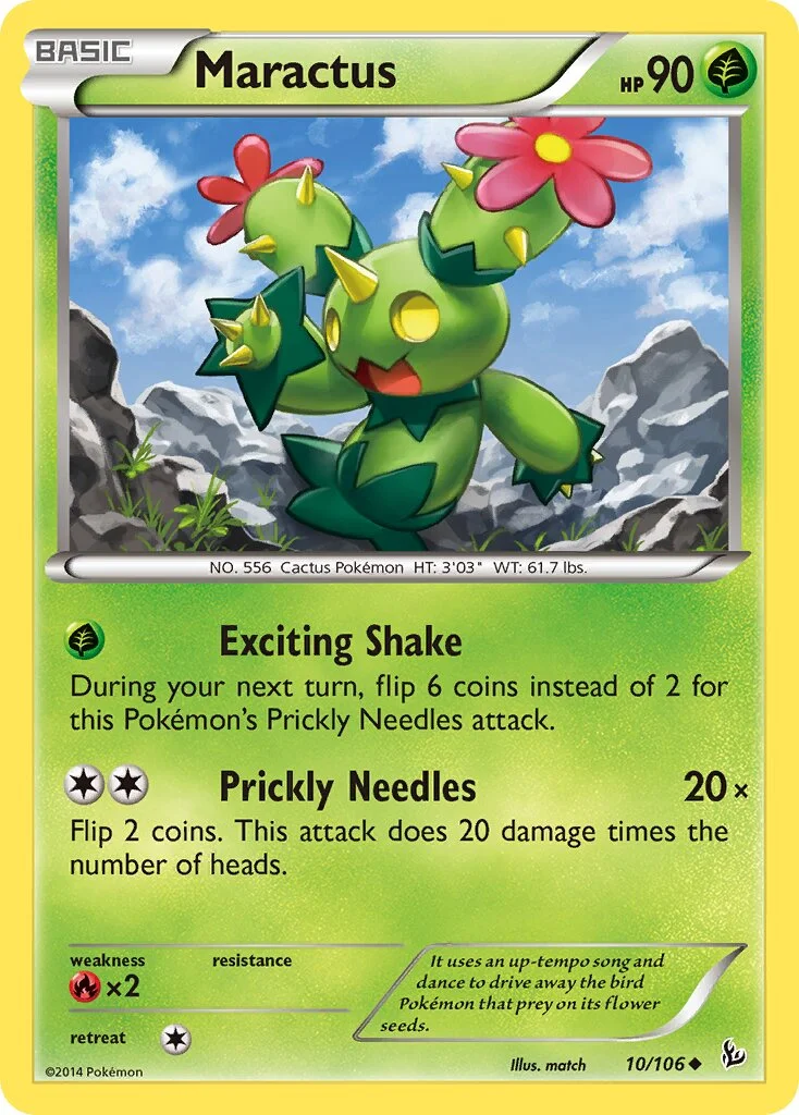 Maractus 「FLF 10/106」「EN」
