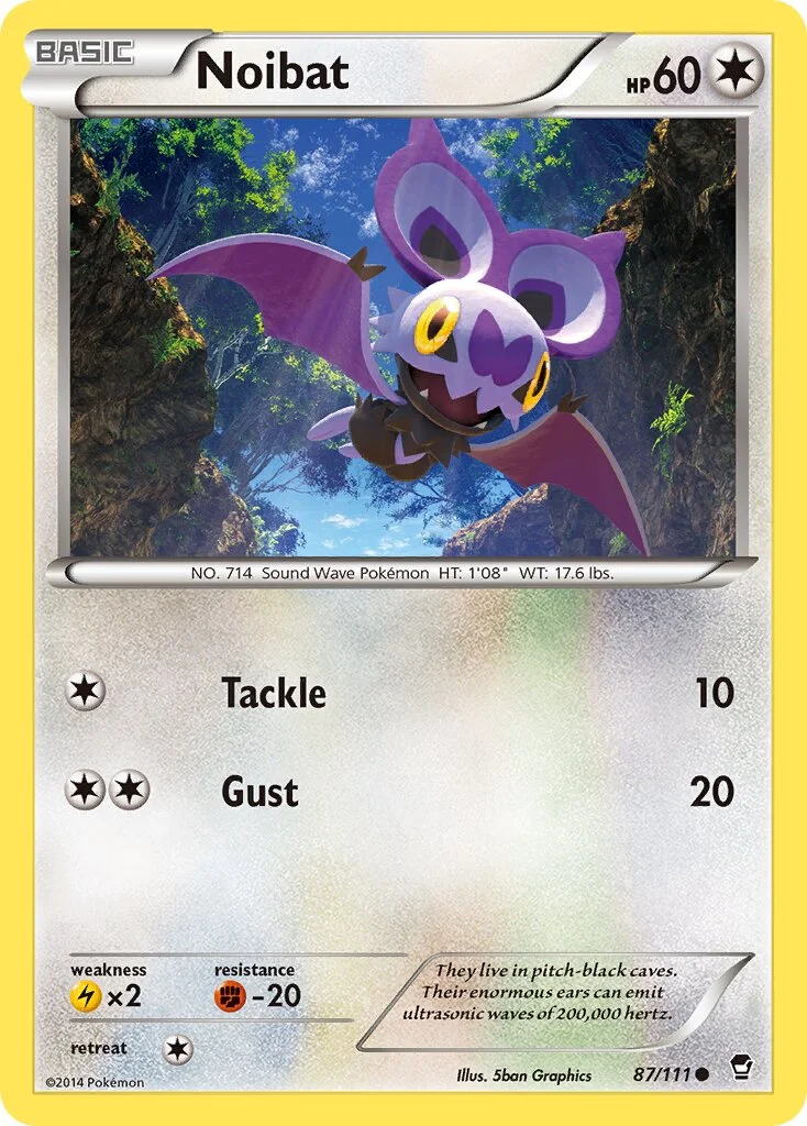 Noibat 「FFI 87/111」「EN」