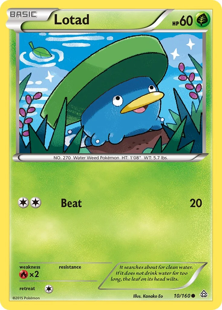 Lotad 「PRC 10/160」「EN」