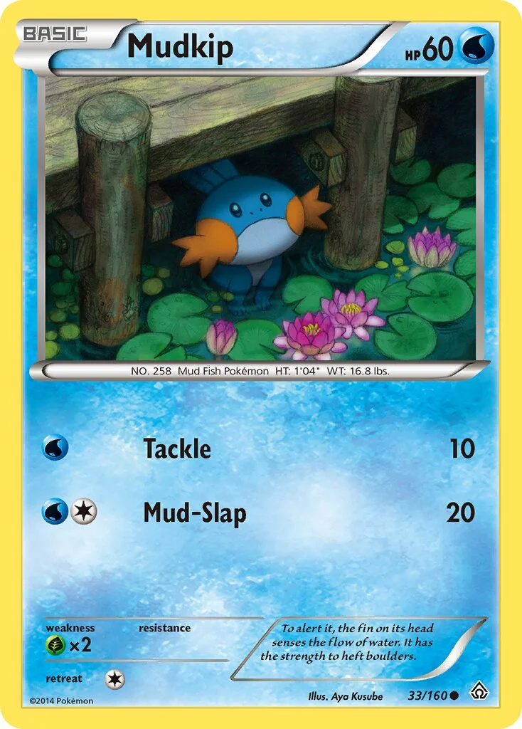 Mudkip 「PRC 33/160」「EN」