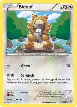 Bidoof #116/160 · Pokémon