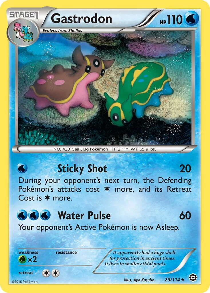 Gastrodon 「STS 29/114」「EN」