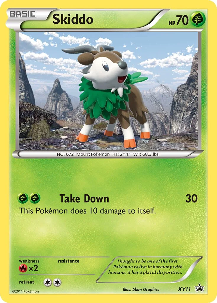 Skiddo 「XYP XY11」「EN」