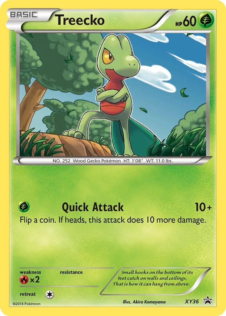 Treecko 「XYP XY36」「EN」