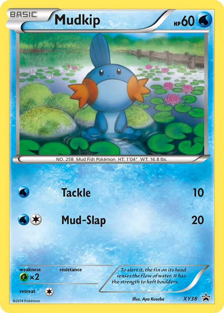 Mudkip 「XYP XY38」「EN」