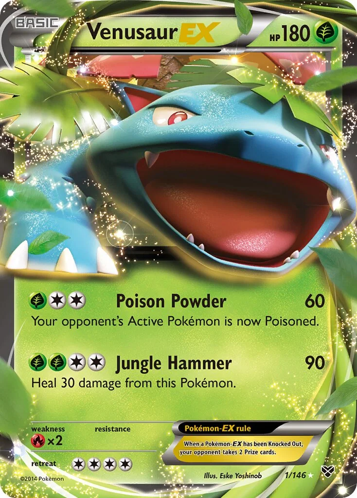 Venusaur-EX 「XY 1/146」「EN」