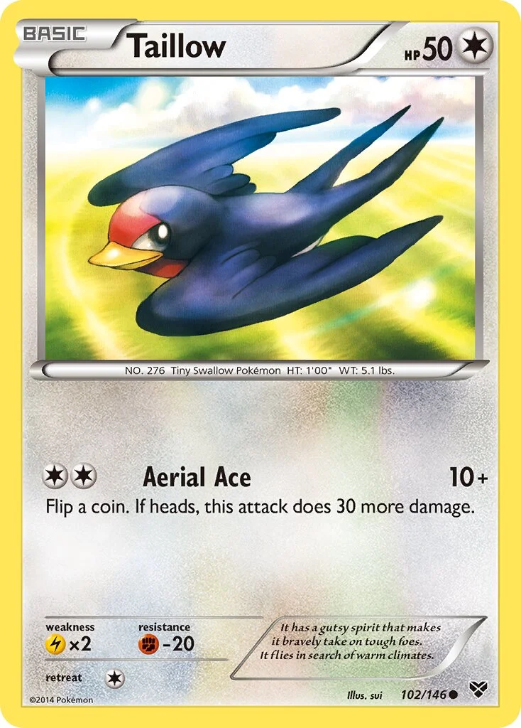 Taillow 「XY 102/146」「EN」