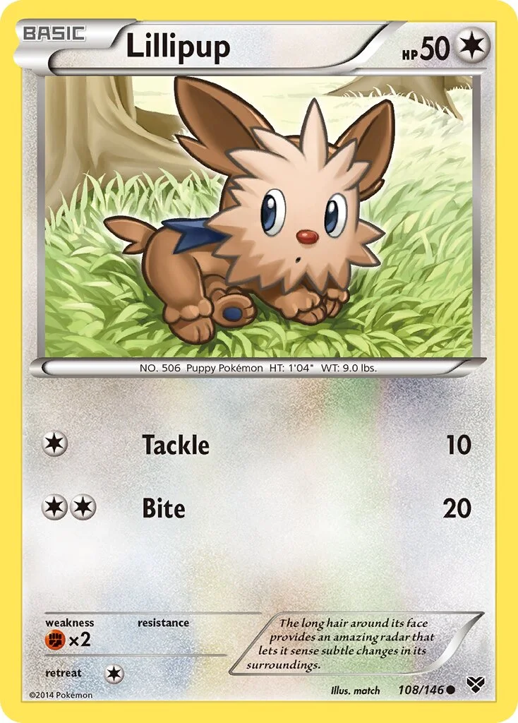 Lillipup 「XY 108/146」「EN」