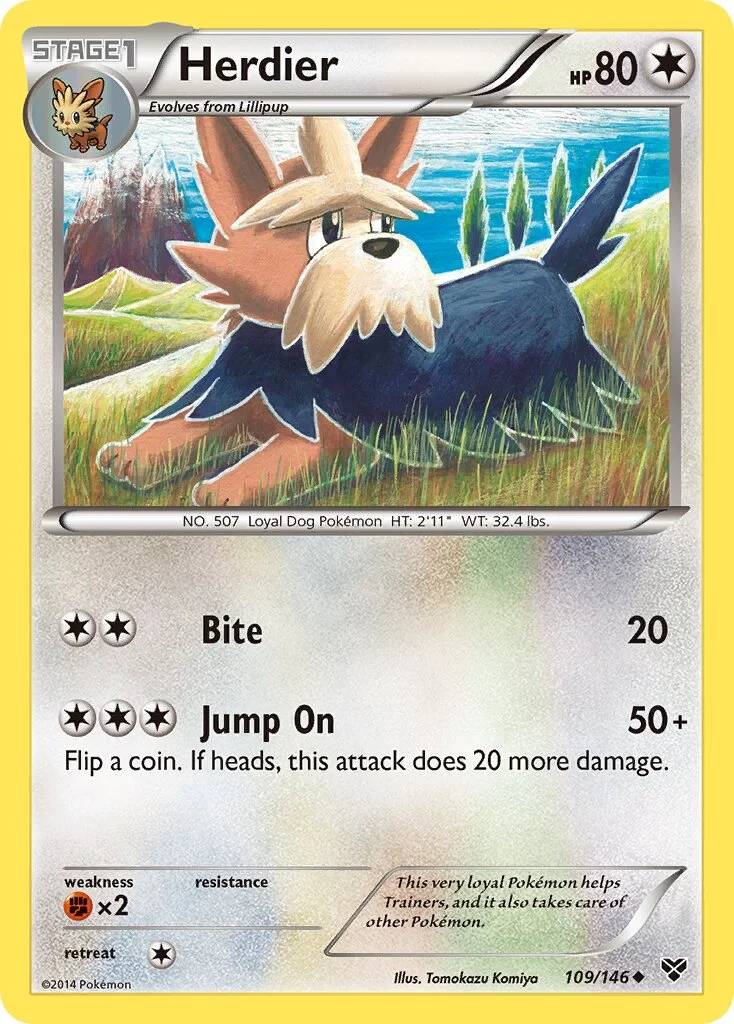 Herdier 「XY 109/146」「EN」