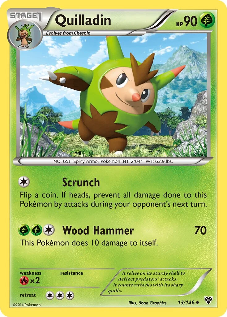 Quilladin 「XY 13/146」「EN」