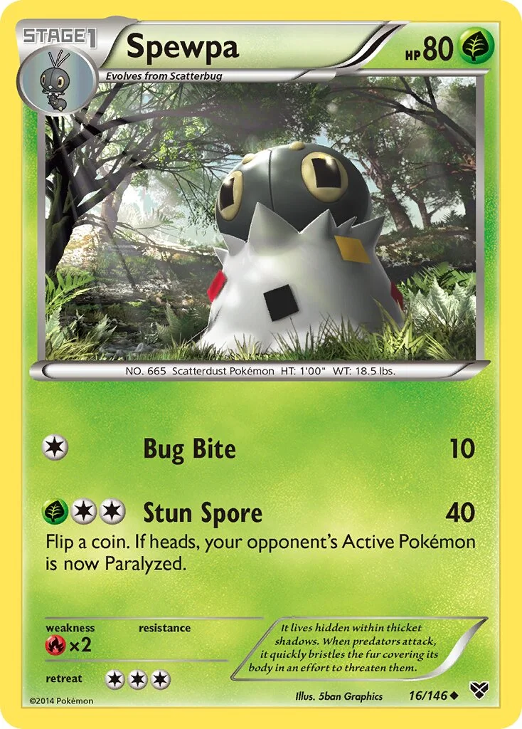 Spewpa 「XY 16/146」「EN」