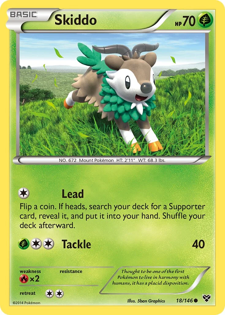 Skiddo 「XY 18/146」「EN」