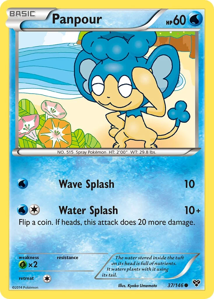 Panpour 「XY 37/146」「EN」