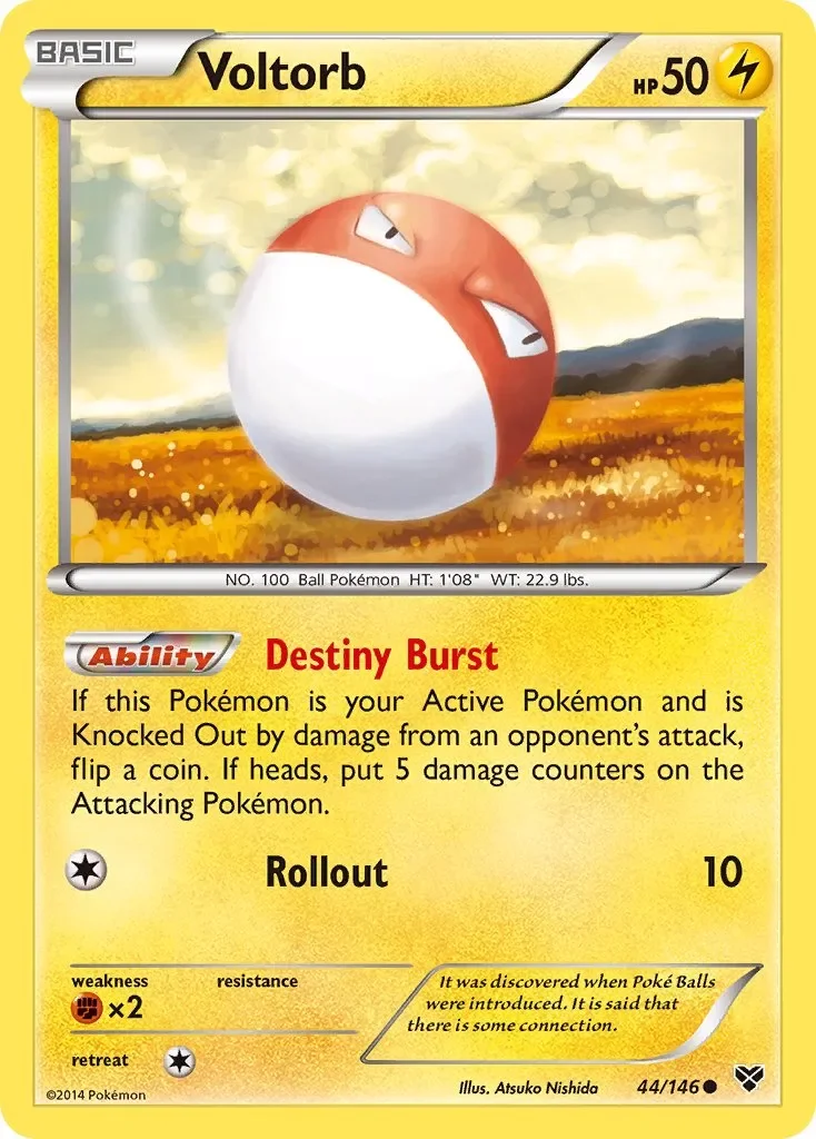 Voltorb 「XY 44/146」「EN」