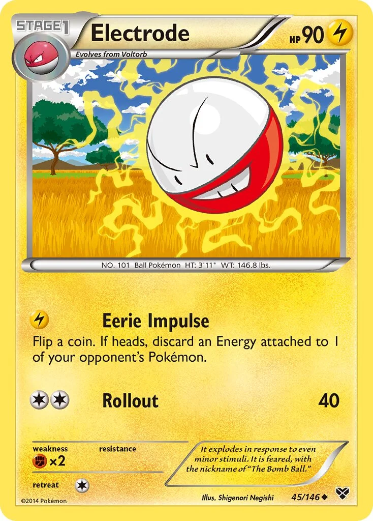 Electrode 「XY 45/146」「EN」