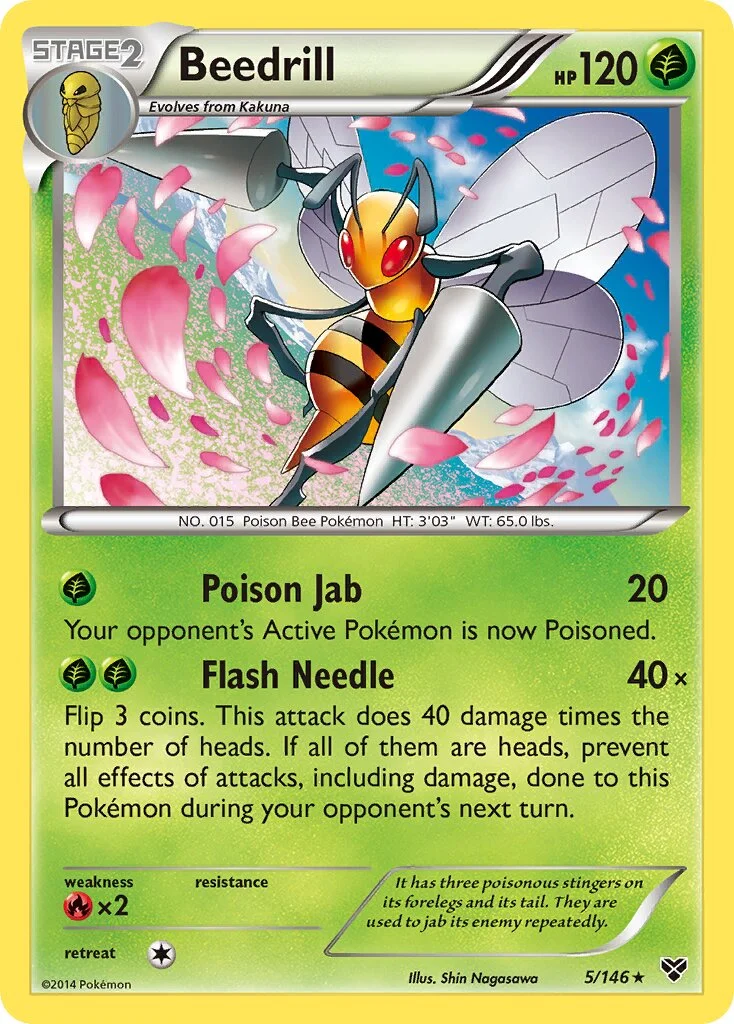 Beedrill 「XY 5/146」「EN」