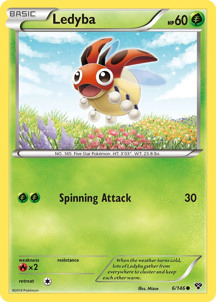 Ledyba 「XY 6/146」「EN」