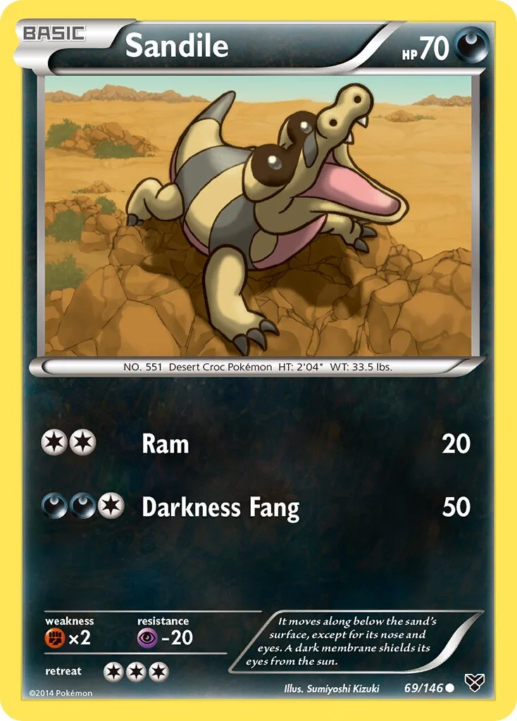 Sandile 「XY 69/146」「EN」