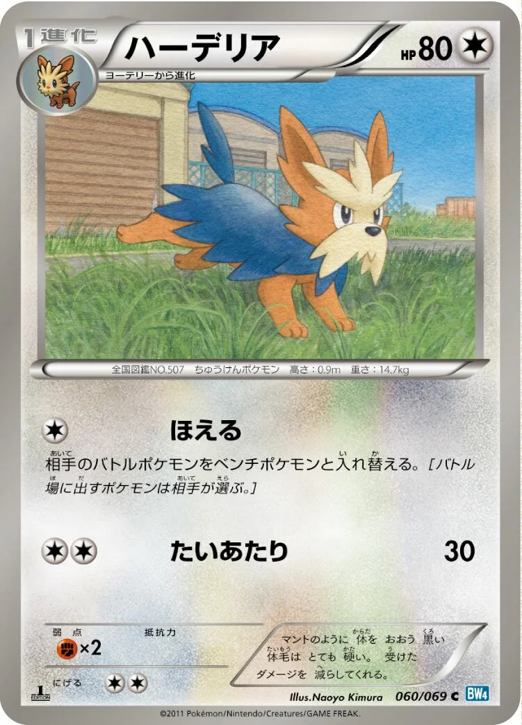 Herdier 「BW4 060/069」「JP」