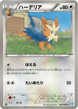 Herdier 「BW4 060/069」「JP」