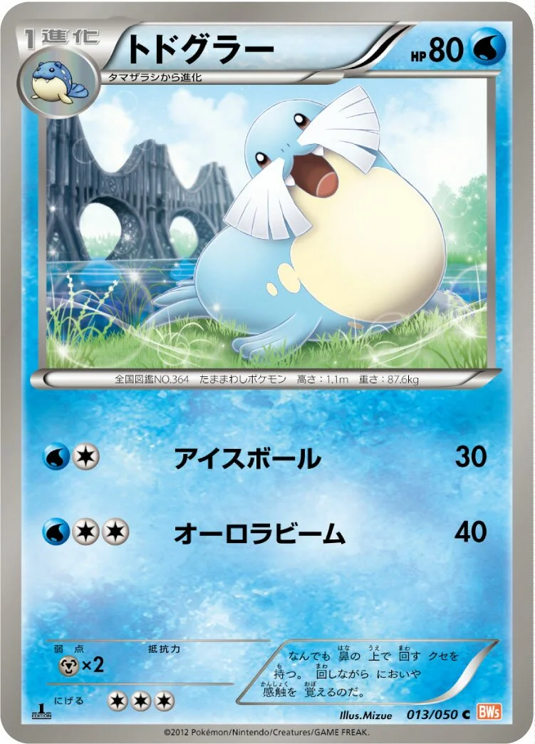 Sealeo 「BW5-BRN 013/050」「JP」
