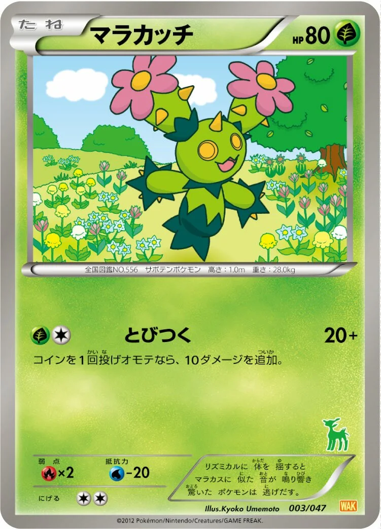 Maractus 「WAK 003/047」「JP」
