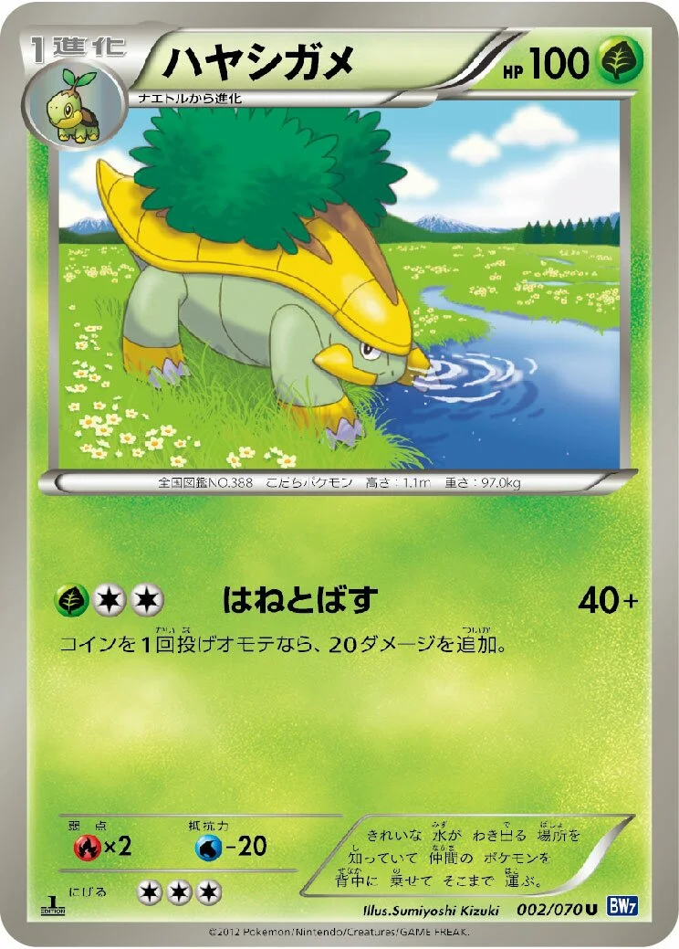 Grotle 「BW7 002/070」「JP」