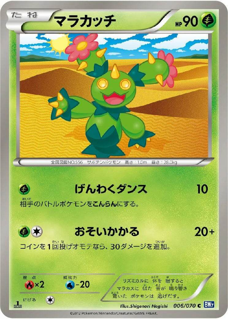 Maractus 「BW7 006/070」「JP」