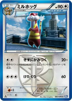 Watchog 「BW7 061/070」「JP」