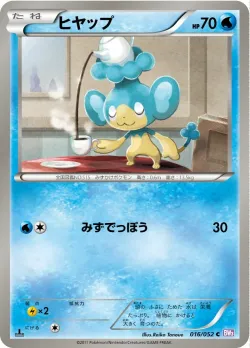 Panpour 「BW3-BP 016/052」「JP」