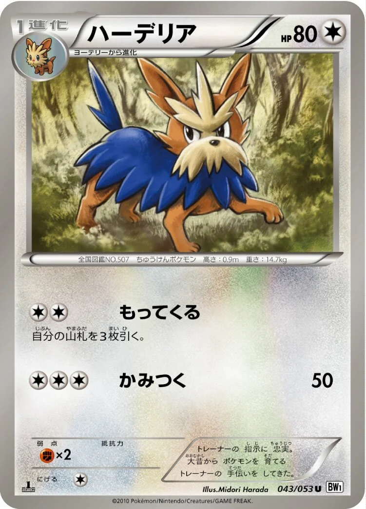 Herdier 「BW1-BW 043/053」「JP」