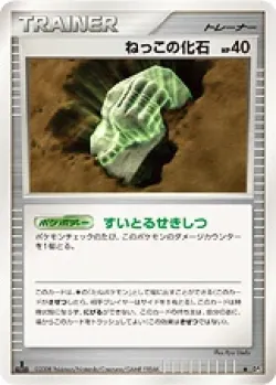 Root Fossil 「DP5 No. 062」「JP」
