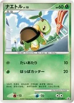 Turtwig #017/DP-P · Pokémon