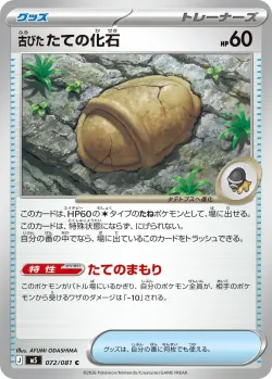 Antique Shield Fossil 「M5 072/081」「JP」