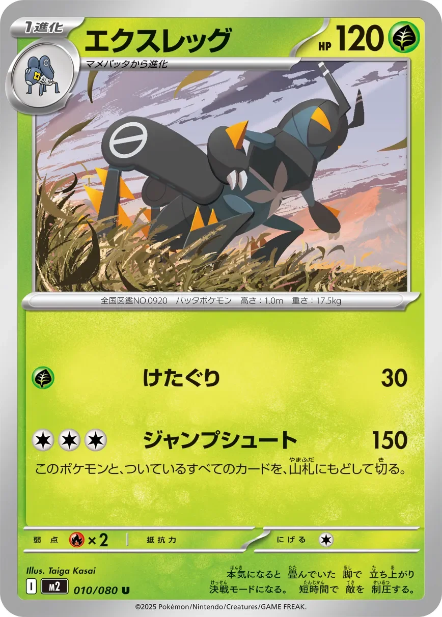 Lokix 「M2 010/080」「JP」