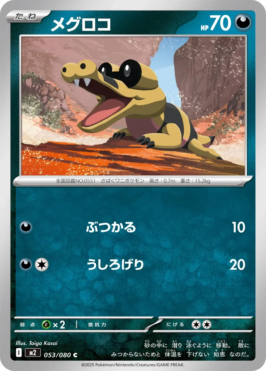 Sandile 「M2 053/080」「JP」